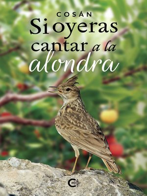 cover image of Si oyeras cantar a la alondra